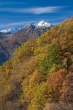 20101105_111832 Monte Mater e boschi autunnali.jpg